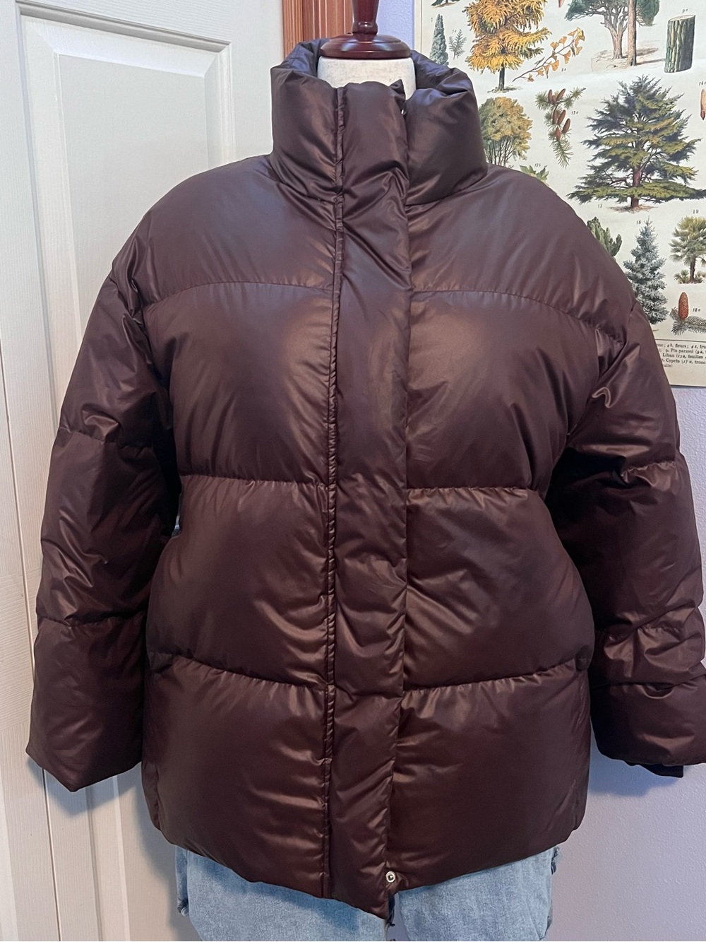 Nap Loungewear Brown Oversized Funnel Neck Puffer Jacket Coat